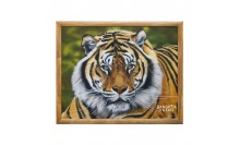 กรอบรูปภาพวาดสีน้ำมัน เสือเหมือนจริง